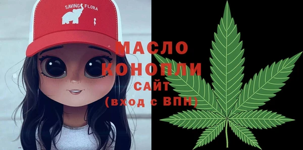 шишки Каменногорск
