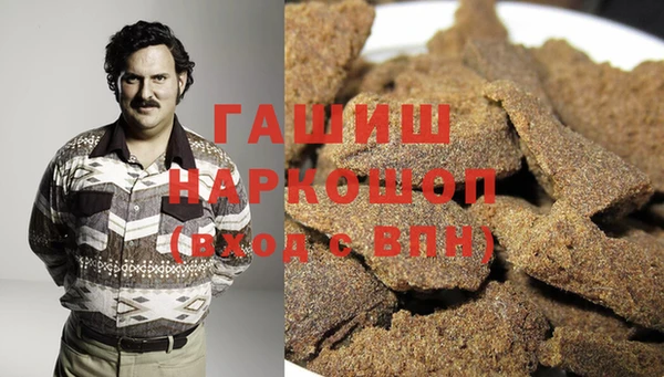 шишки Каменногорск