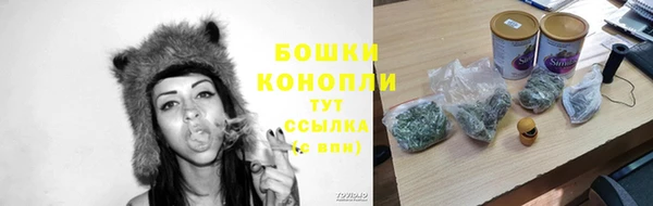 шишки Каменногорск