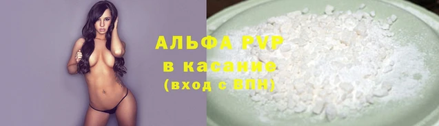 шишки Каменногорск