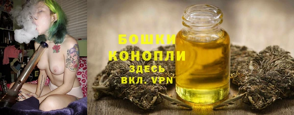 шишки Каменногорск
