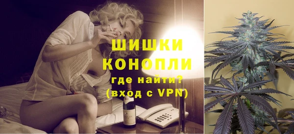 шишки Каменногорск