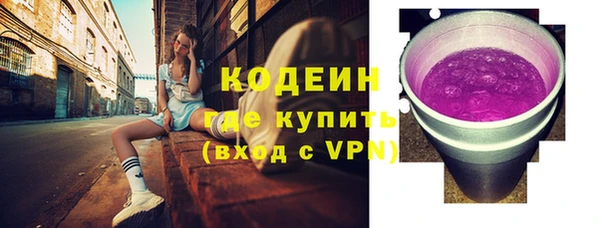 шишки Каменногорск