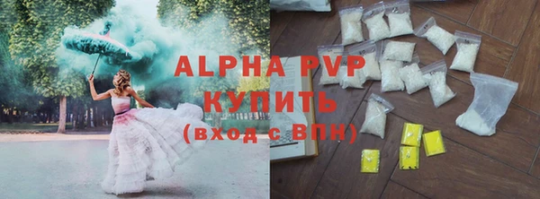 шишки Каменногорск