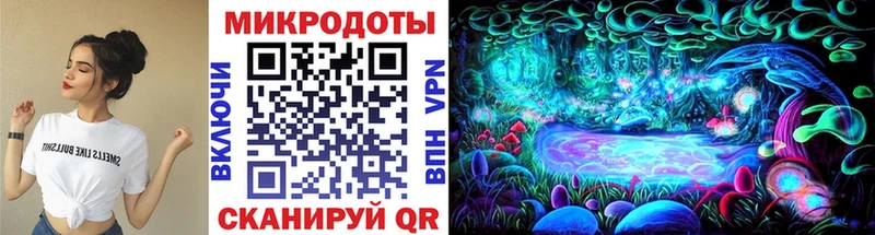 Псилоцибиновые грибы Cubensis  Купить где  Зеленогорск 